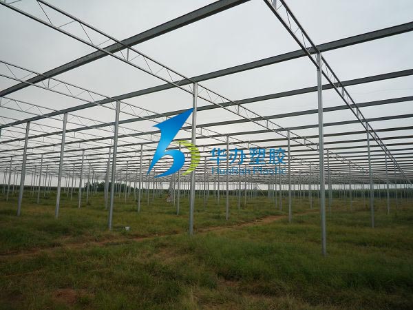 連云港東?？h雙店鎮(zhèn)溫室大棚PC陽(yáng)光板