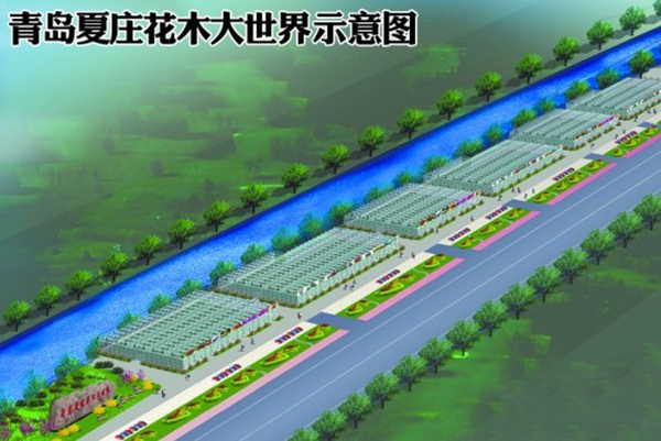 1679989440619938.jpg 青島夏莊四季采摘園.jpg