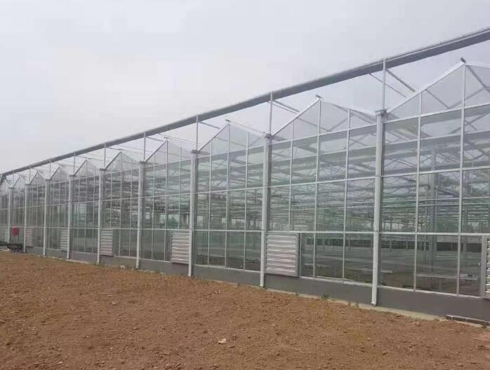 PC薄膜溫室大棚可以防風(fēng)嗎？