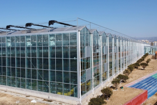 PC板的外墻裝飾能使用多久？